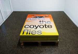 As the coyote flies, Adrien Missika, Emmanuel Crivelli, Dual Room, Centre Culturel Suisse, Paris